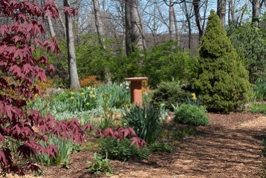 Herb Garden in April